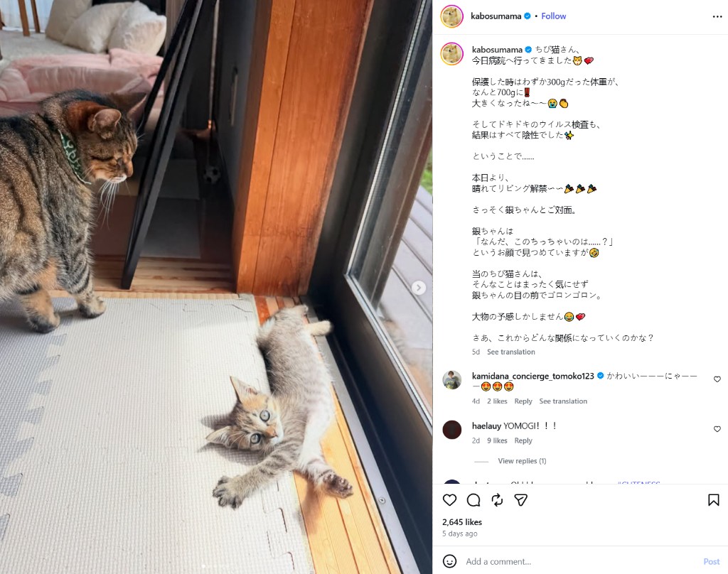 Umi meeting Gin-chan, shared on kabosumama's Instagram